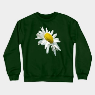 Close Up Common White Daisy Cut Out Crewneck Sweatshirt